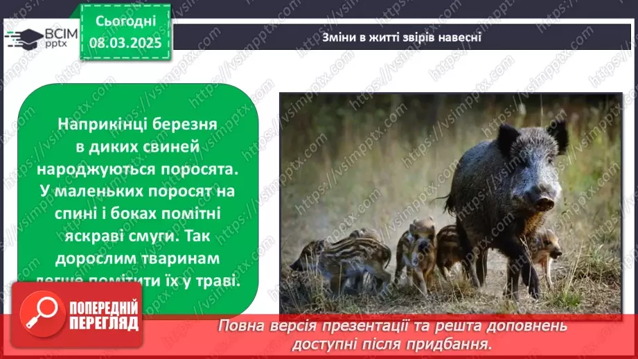 №0078 - Які зміни в житті звірів навесні16 №0078 - Які зміни в житті звірів навесні16