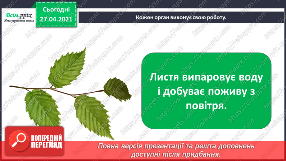 №011 - 012 - Якими бувають рослини? Як розрізняють рослини? Проводимо дослідження. Які умови потрібні рослинам для життя?9