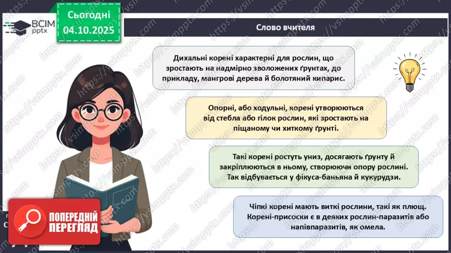 №021 - Покритонасінні рослини: тканини та будова кореня24 №021 - Покритонасінні рослини: тканини та будова кореня24