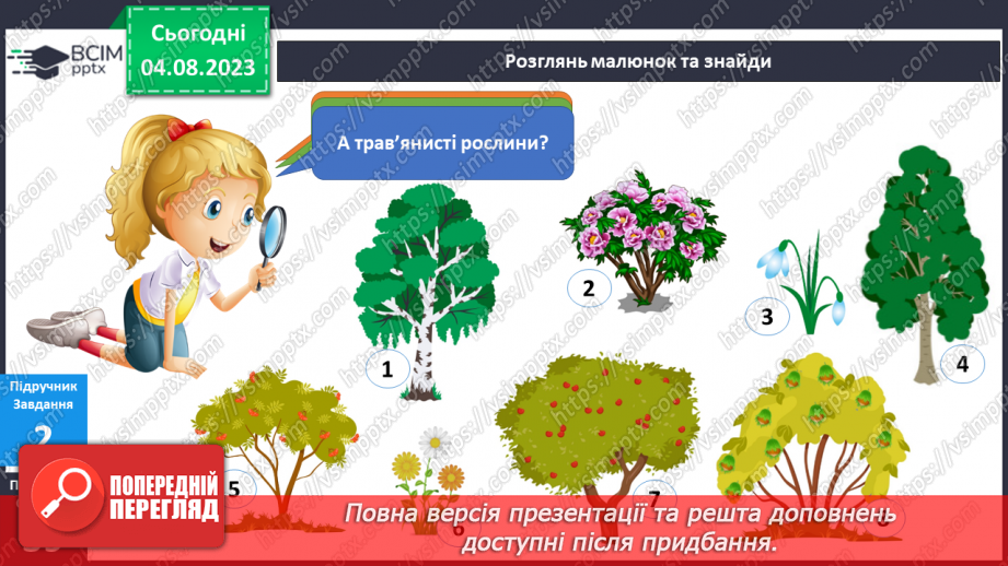 №169-170 - Я досліджую дерева, кущі, трав’янисті рослини.14