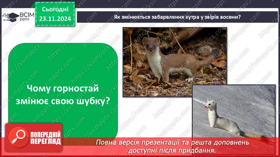 №0037 - Як звірі готуються до зими20 №0037 - Як звірі готуються до зими20