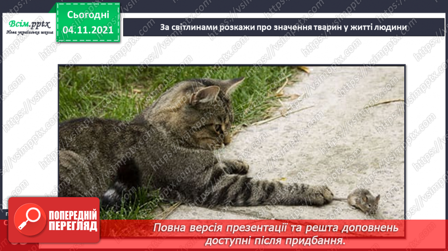 №040 - Як тварини пристосувалися добувати корм27 №040 - Як тварини пристосувалися добувати корм27
