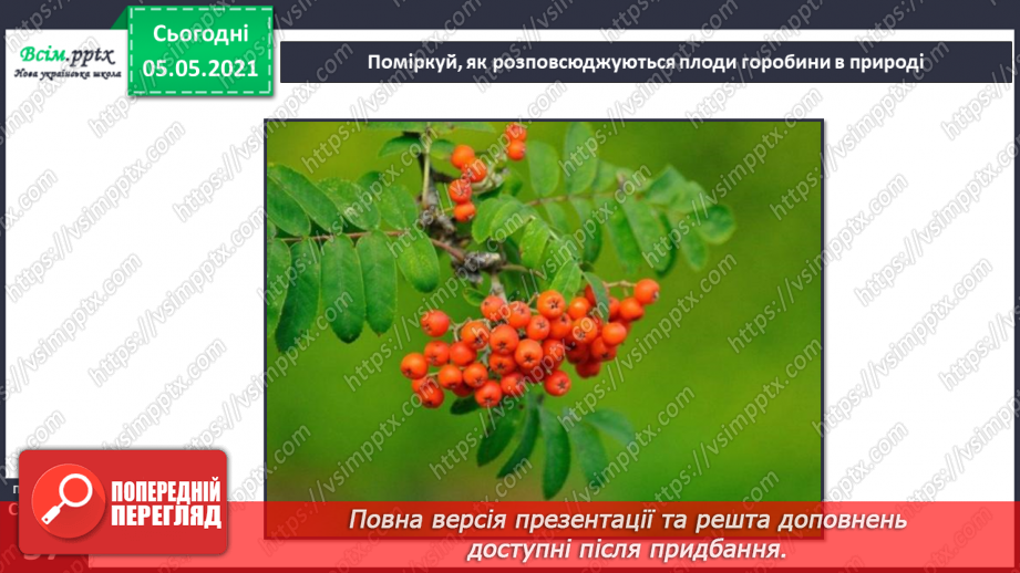 №033 - Розмноження квіткових рослин21