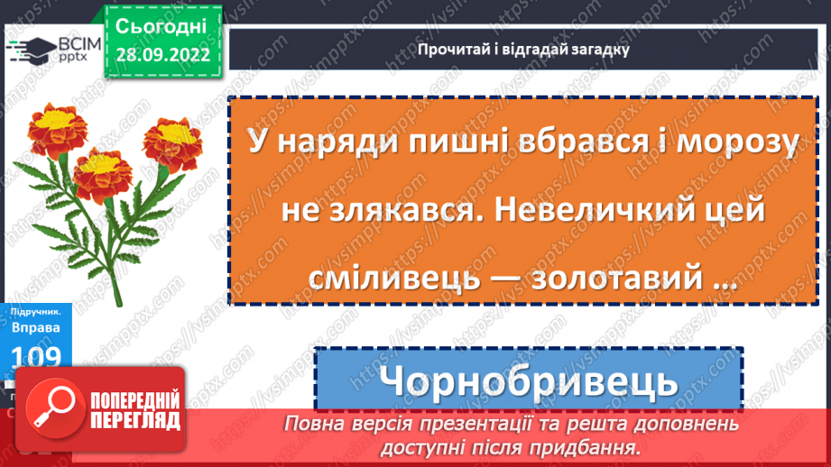 №026 - Урок розвитку зв’язного мовлення 3. Чорнобривці. Опис квітки.11