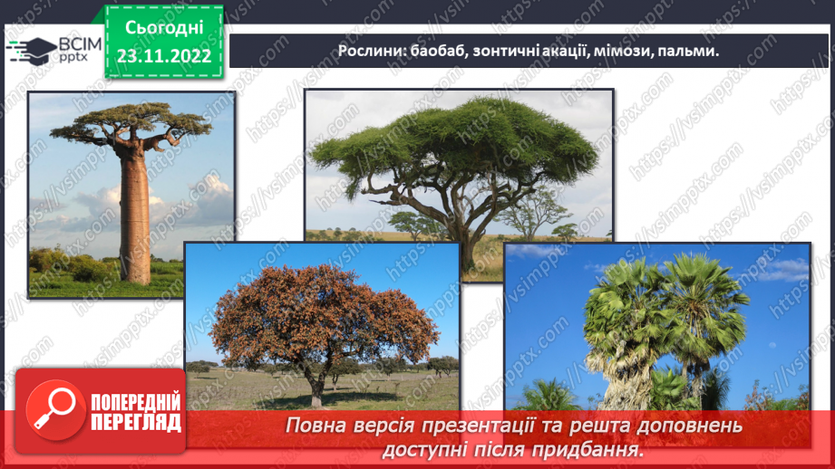 №044 - Дослідження природних зон (дощові ліси, напівпустеля, савани, тайга).12 №044 - Дослідження природних зон (дощові ліси, напівпустеля, савани, тайга).12