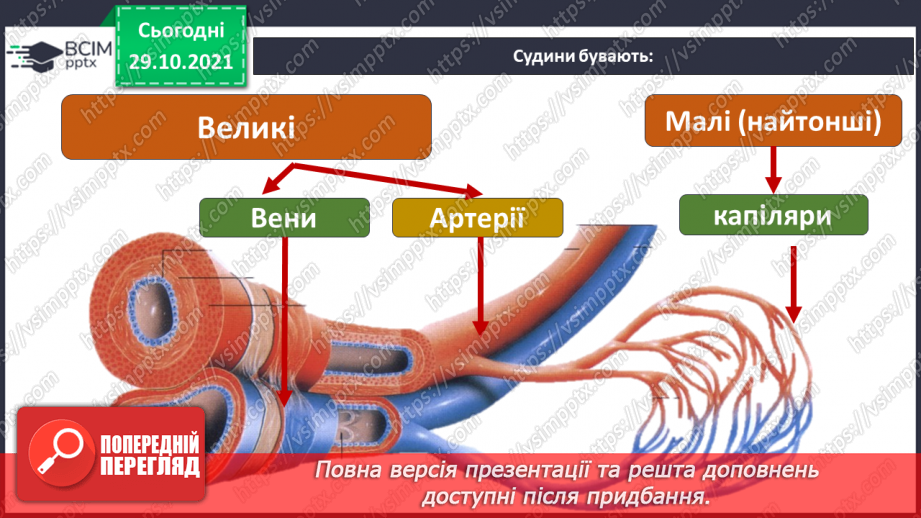 №032 - Пригода третя. Несподіваний атракціон.23 №032 - Пригода третя. Несподіваний атракціон.23