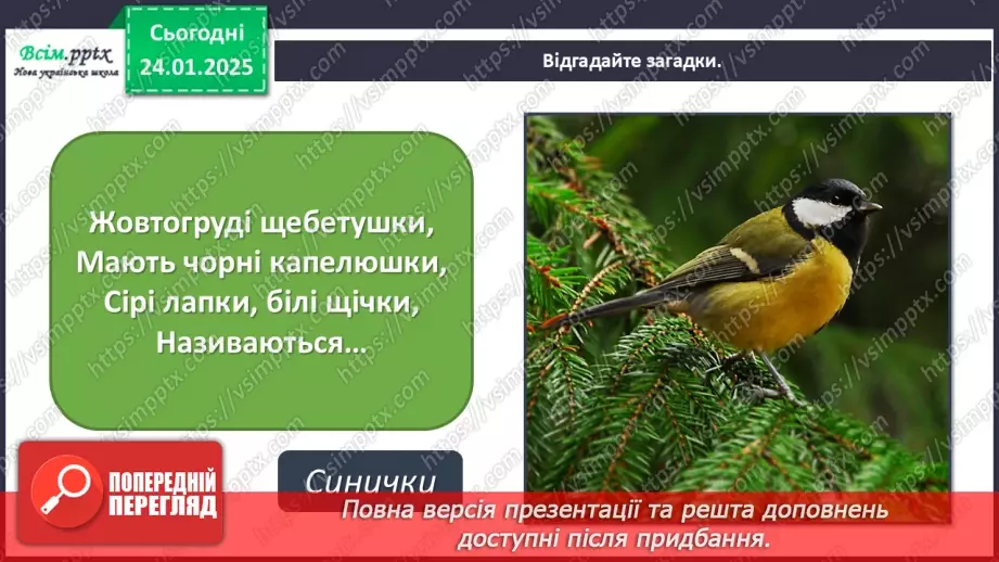 №20 - Карнавал птахів9 №20 - Карнавал птахів9