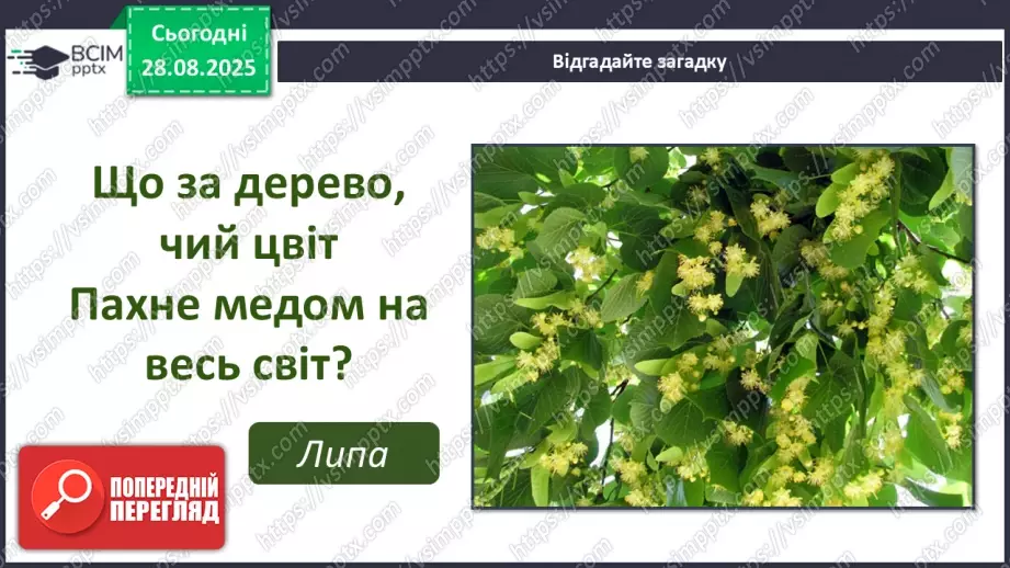 №02 - Основні поняття: графіка, графічні матеріали СМ: В. Мамчич «Кримське дерево»; методичний малюнок дерева пастеллю2 №02 - Основні поняття: графіка, графічні матеріали СМ: В. Мамчич «Кримське дерево»; методичний малюнок дерева пастеллю2