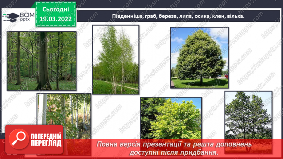 №078 - Природні зони України. Мішані та широколисті ліси.5 №078 - Природні зони України. Мішані та широколисті ліси.5