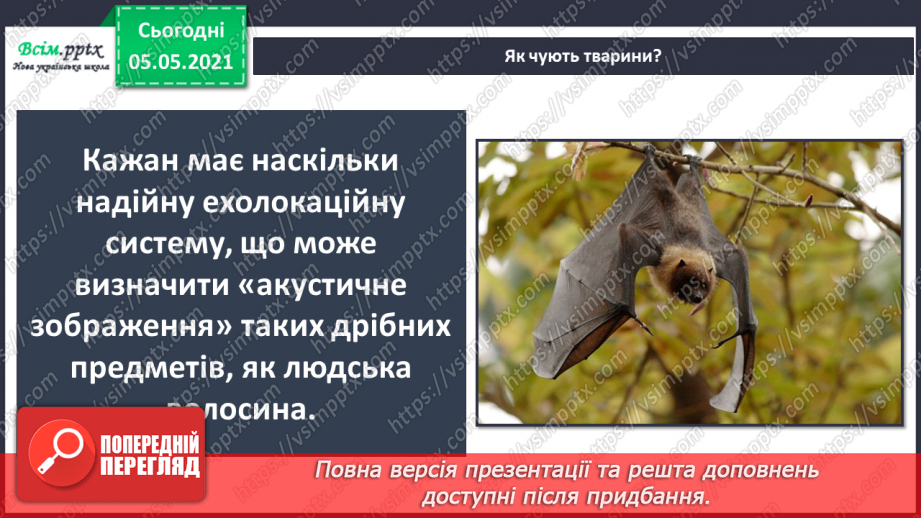 №082 - Орган слуху.21 №082 - Орган слуху.21