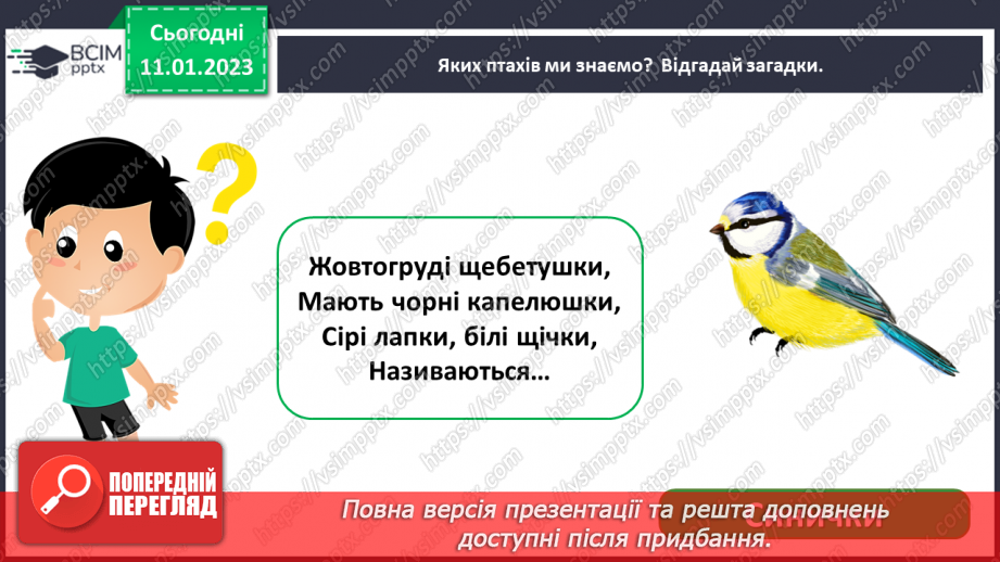№0057 - Птахи6