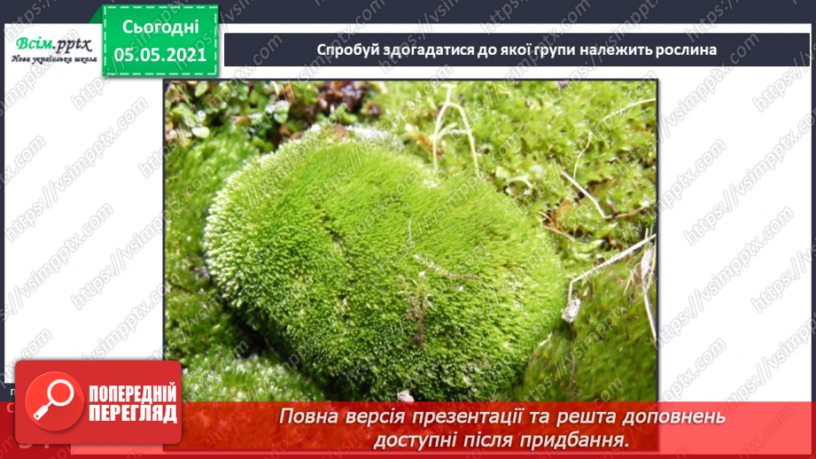 №031 - Організми, які тебе оточують.19