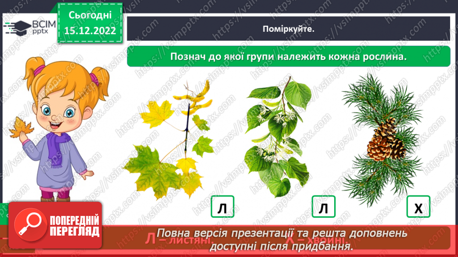 №0052 - Листяні і хвойні рослини26 №0052 - Листяні і хвойні рослини26