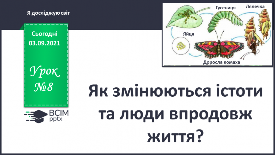 №008 - Як змінюються істоти та люди впродовж життя?0