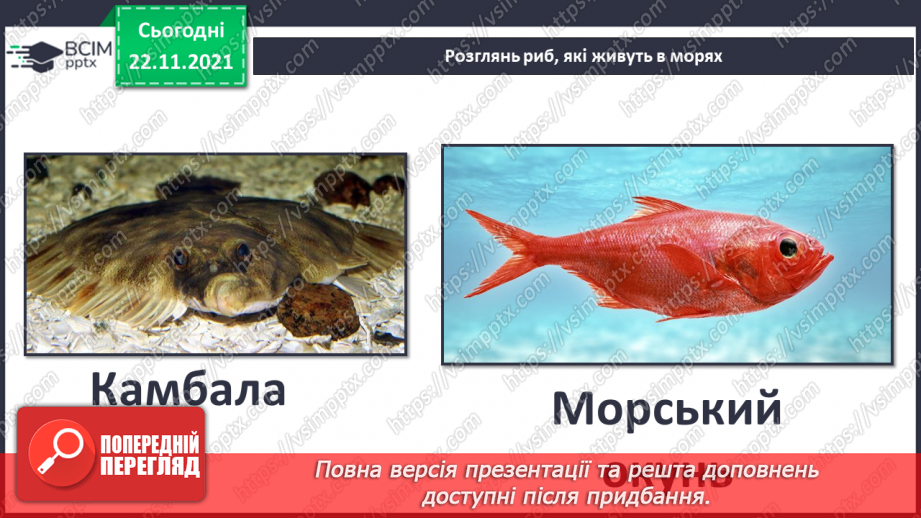 №014 - Виготовлення фігурки одного з мешканців моря9