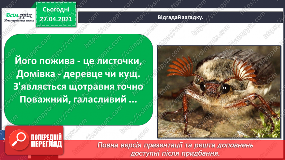 №085 - Які комахи з’являються навесні першими?28 №085 - Які комахи з’являються навесні першими?28