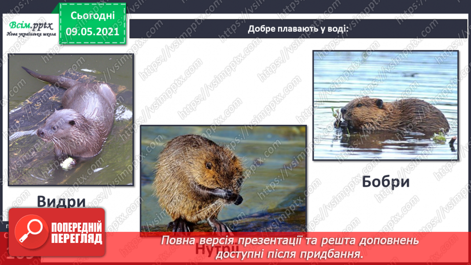 №074-75 - Які тварини живуть на луках, у степах і водоймах?31