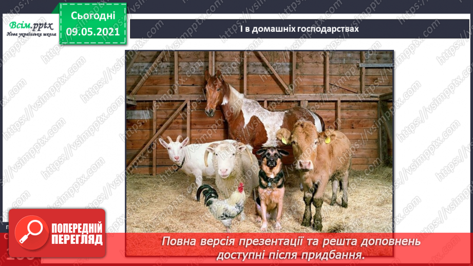 №071 - Чи може людина існувати без свійських тварин?16 №071 - Чи може людина існувати без свійських тварин?16