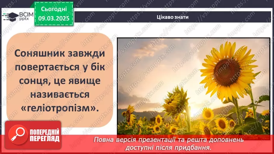 №076 - Як росте і розвивається рослина з насінини. ст.67-6931