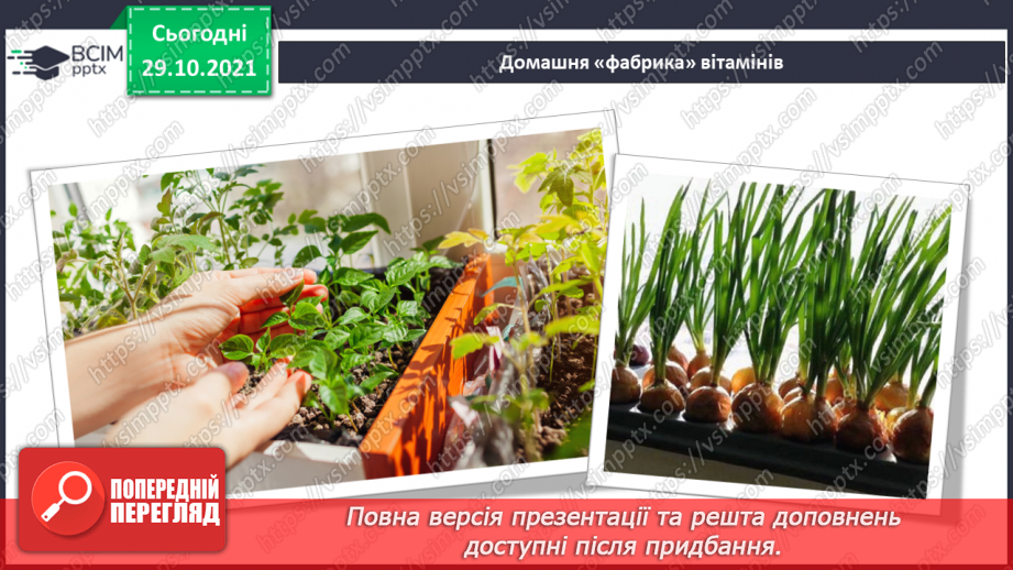 №11 - Що потрібно мандрівникам? Вирощування рослин методом гідропоніки. Створення домашньої «фабрики» вітамінів11