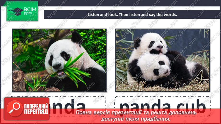 №087 - Unit 8. Look at that baby! Animals and their babies.7 №087 - Unit 8. Look at that baby! Animals and their babies.7
