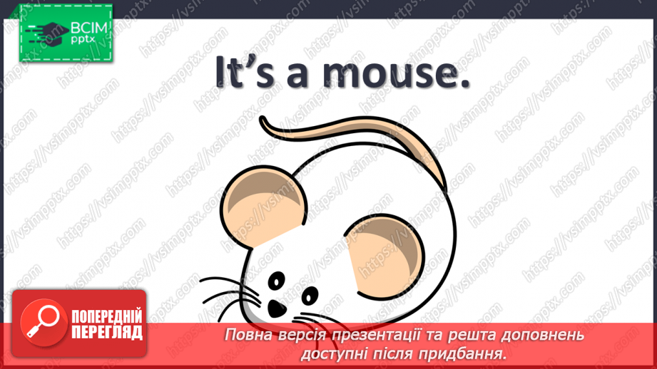 №33 - My pets11