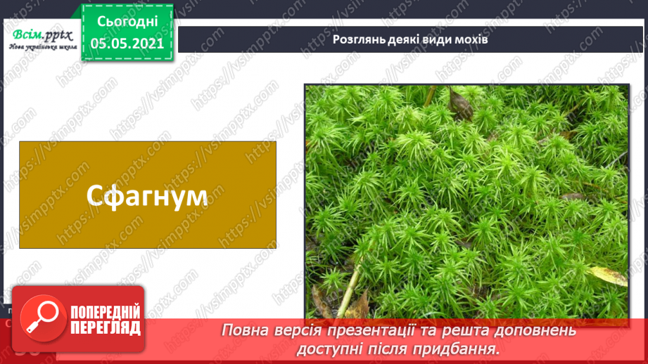 №033 - Мохи.23 №033 - Мохи.23