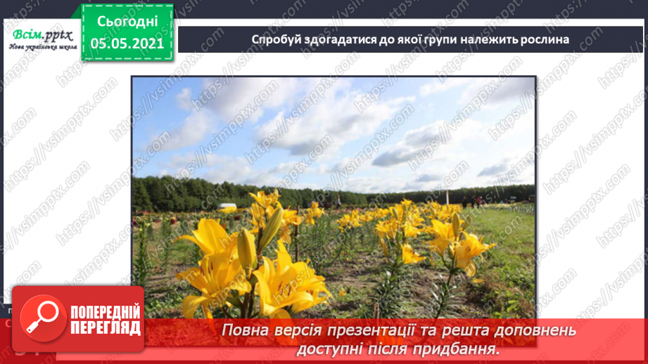 №031 - Організми, які тебе оточують.21