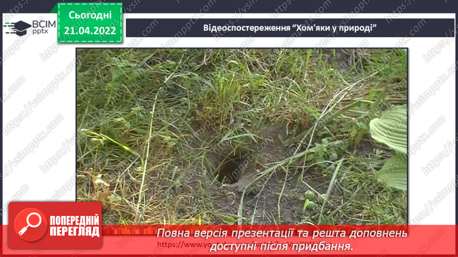 №097 - В. Читай «Про жабу Душку та хом’ячків-сусідів»19 №097 - В. Читай «Про жабу Душку та хом’ячків-сусідів»19