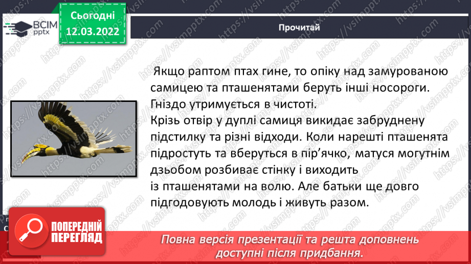 №092 - Т. Колодницька «Птахи – носороги»11 №092 - Т. Колодницька «Птахи – носороги»11