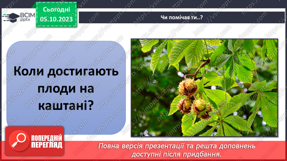 №021 - Осінні явища в житті рослин19 №021 - Осінні явища в житті рослин19