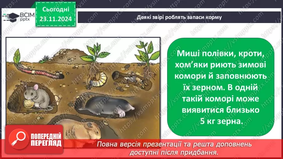 №0037 - Як звірі готуються до зими9 №0037 - Як звірі готуються до зими9