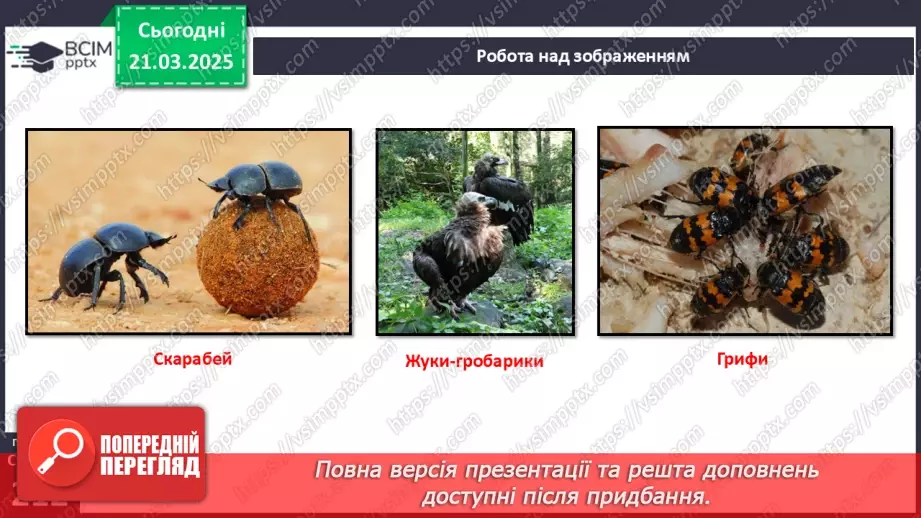 №71 - Роль тварин у біосфері.15