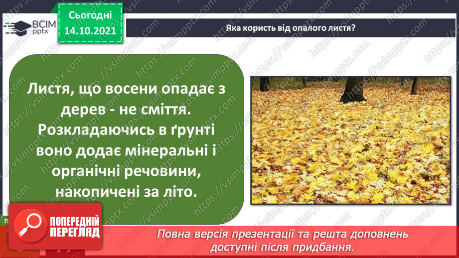 №025 - Як безпека перетворюється на небезпеку? Дослідження «Які водоспади є на Закарпатті?».20 №025 - Як безпека перетворюється на небезпеку? Дослідження «Які водоспади є на Закарпатті?».20