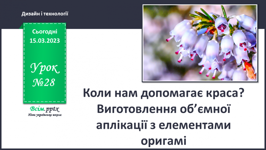 №028 - Коли нам допомагає краса? Виготов¬лення об’ємної аплікації з елементами оригамі0