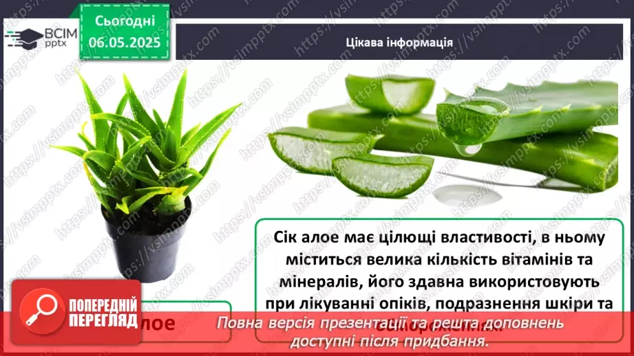 №101-102 - Догляд за кімнатними рослинами. Пересаджування квітів19