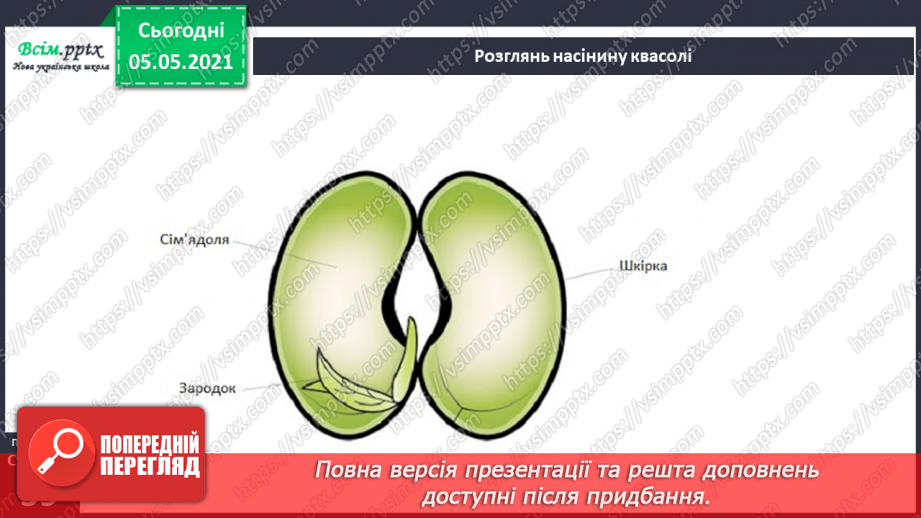 №035 - Сторінка дослідників. Як виростити нову рослину. Умови проростання насіння6 №035 - Сторінка дослідників. Як виростити нову рослину. Умови проростання насіння6