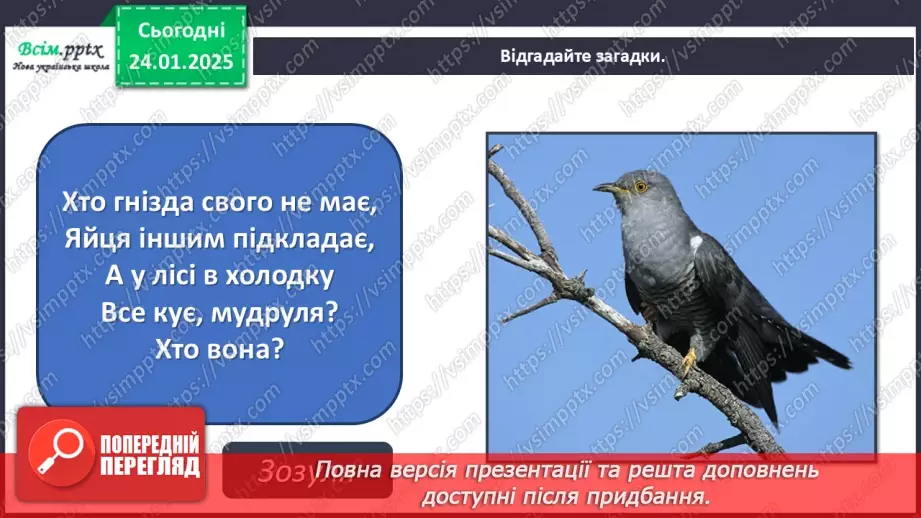 №20 - Карнавал птахів10 №20 - Карнавал птахів10