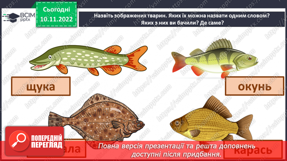 №038 - Риби, земноводні та плазуни.4 №038 - Риби, земноводні та плазуни.4
