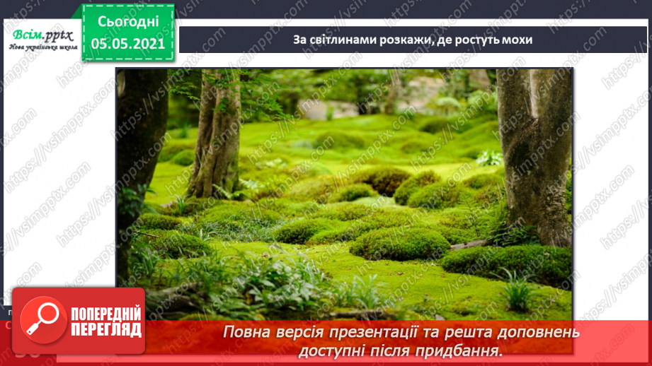 №033 - Мохи.14 №033 - Мохи.14