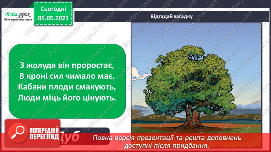 №030 - Рослини. Будова рослин3 №030 - Рослини. Будова рослин3