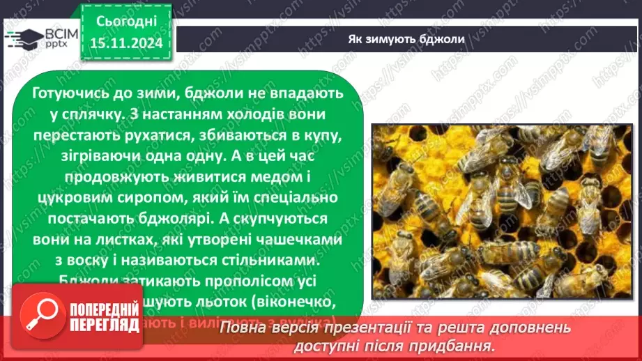 №0034 - Як осінні зміни впливають на комах16 №0034 - Як осінні зміни впливають на комах16