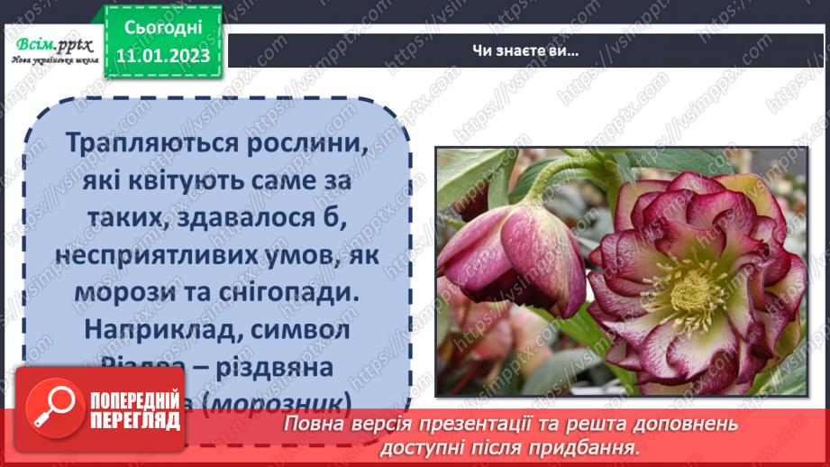 №19 - Виготовлення аплікації «Засніжені дерева» за зразком чи власним задумом (кольоровий папір)5 №19 - Виготовлення аплікації «Засніжені дерева» за зразком чи власним задумом (кольоровий папір)5
