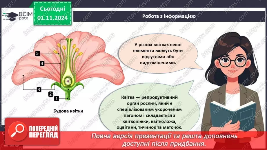 №32 - Квіткові. Квітка і суцвіття. Запилення.15 №32 - Квіткові. Квітка і суцвіття. Запилення.15