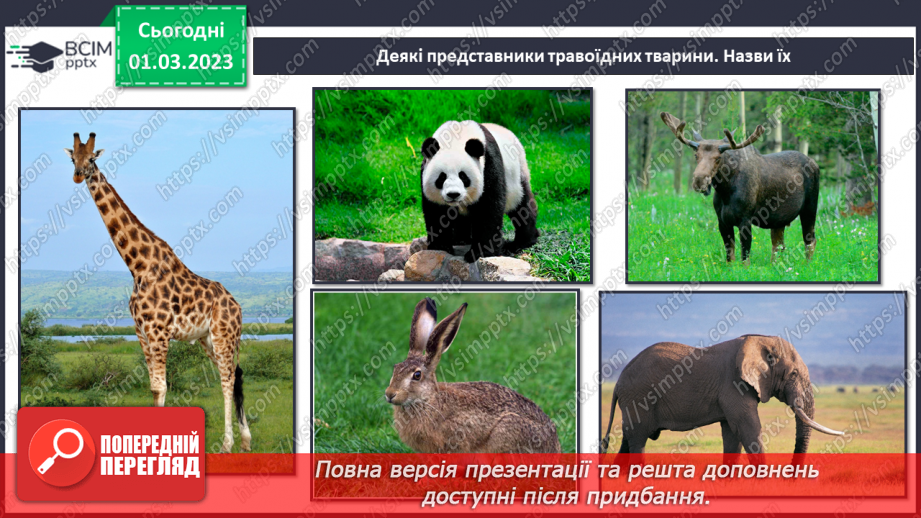 №076 - Хребетні та безхребетні тварини. Множини тварин.28