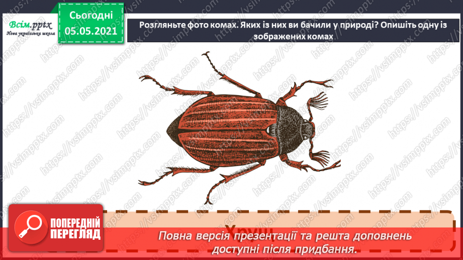 №041 - Різноманітність тварин у природі. Комахи11 №041 - Різноманітність тварин у природі. Комахи11