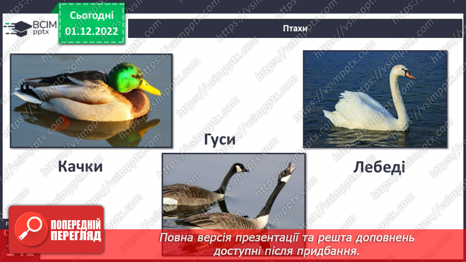№048 - Мешканці океанів та прісних водойм.30