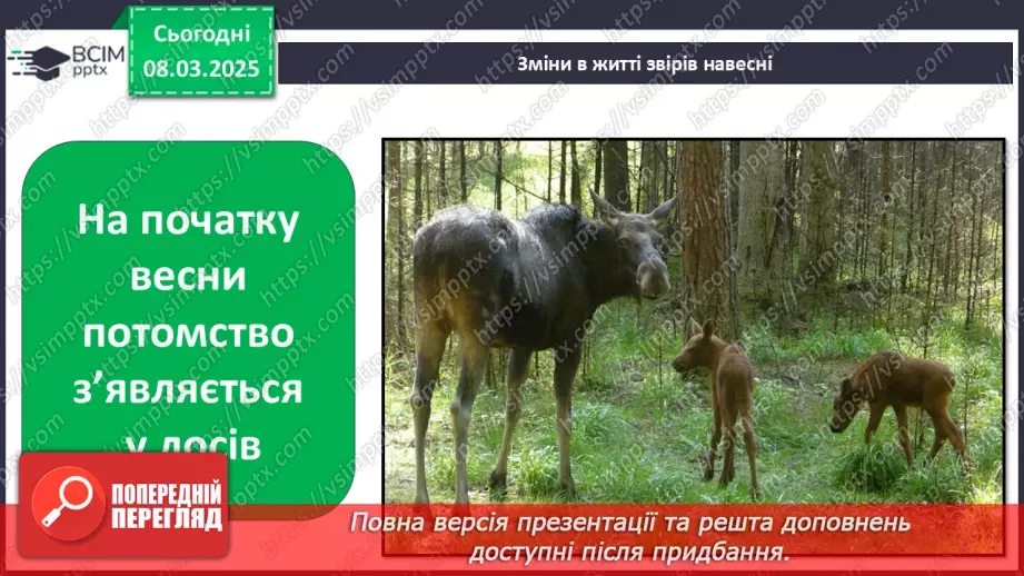 №0078 - Які зміни в житті звірів навесні19 №0078 - Які зміни в житті звірів навесні19