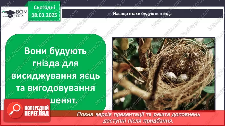№0076 - Чому птахи в’ють гнізда7 №0076 - Чому птахи в’ють гнізда7
