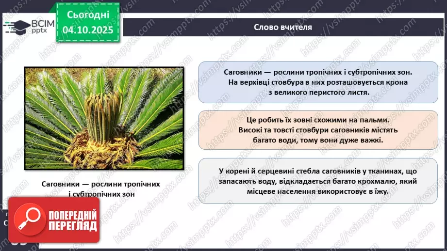 №020 - Голонасінні рослини: значення в екосистемах і використання (продовження).9 №020 - Голонасінні рослини: значення в екосистемах і використання (продовження).9